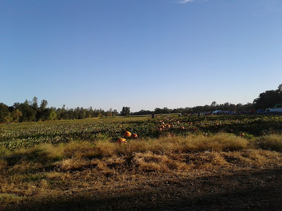 SpencerKess Farm