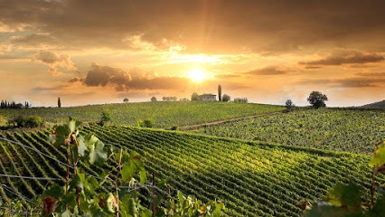 El Gaucho Winery