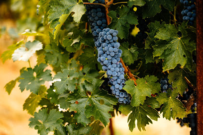 Herb Lamb Vineyards