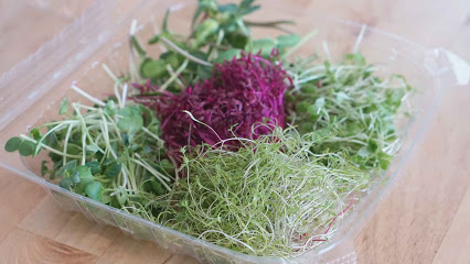 Greenfin Farms