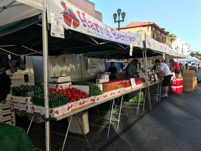 Farmers Market - Wednesday/Saturday Downtown Santa Monica