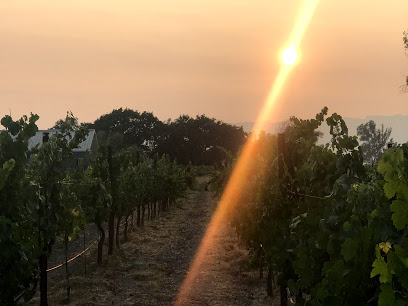 Canihan Wines