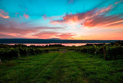 Atwater Vineyards, LLC