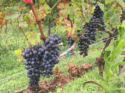 Mount Alto Vineyards