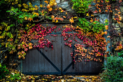Hans Fahden Vineyards