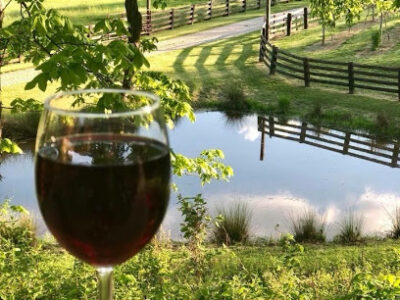 Twisted Vine Family Vineyard