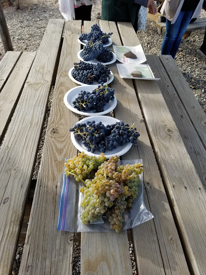 Elephant Mountain Vineyards