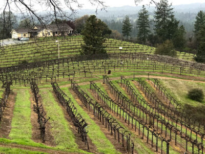 Gold Mountain Winery & Lodge