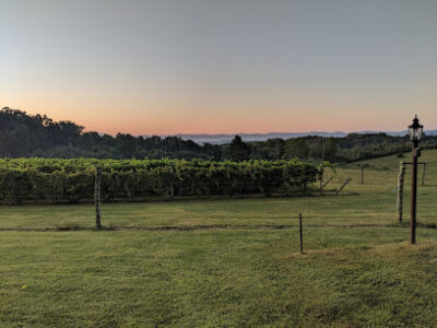 Virginia Mountain Vineyards
