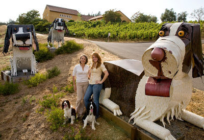 Marimar Estate Vineyards & Winery