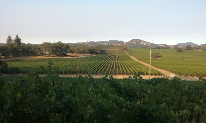 Foxhill Vineyard