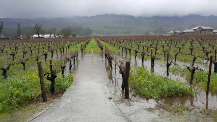 Corison Winery