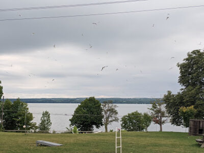 Lakeshore Winery