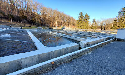 Li'l-Le-Hi Trout Nursery