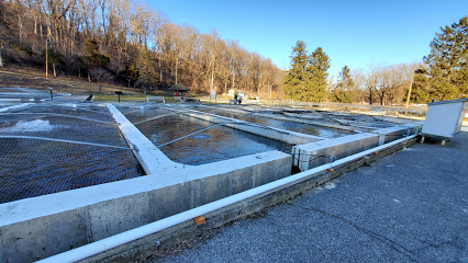 Li'l-Le-Hi Trout Nursery