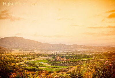 Robert Renzoni Vineyards