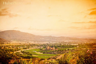 Robert Renzoni Vineyards