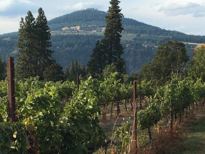 Cathedral Ridge Winery