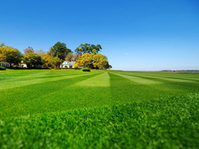 Snowhill Turf Farm