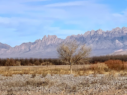 Mesilla Valley Bosque State Park