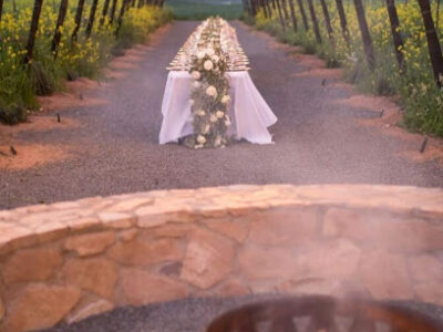 TREVISTA Vineyards