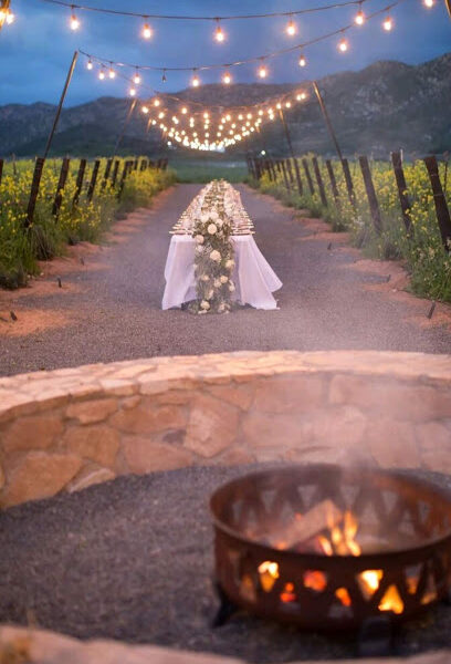 TREVISTA Vineyards