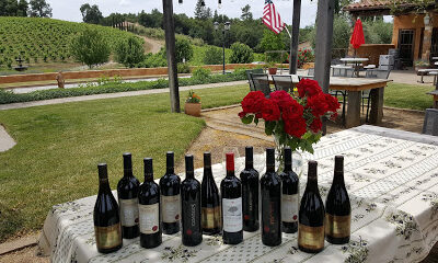 Morse Wines and Il Gioiello Winery