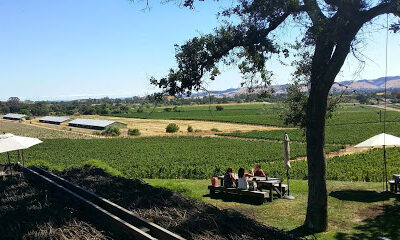 Wine Cube Tours