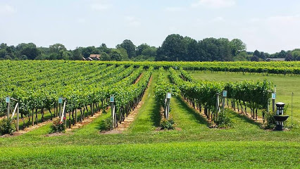 Working Dog Winery