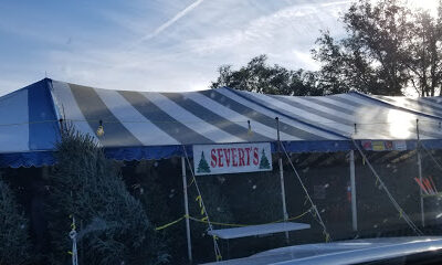 Severt's Tree Farm