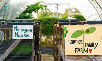 Harpke Family Farm, LLC