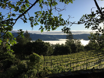 Stony Hill Vineyard