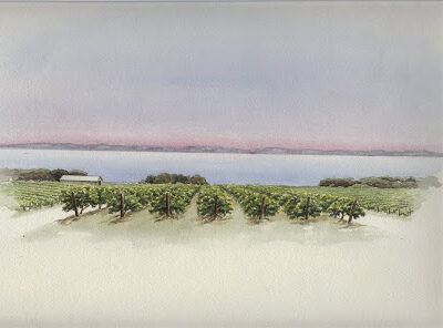 Serenity Vineyards