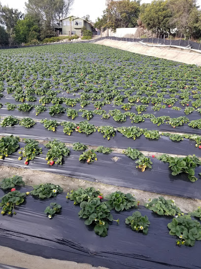 Williamson Produce