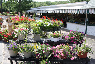 Howe's Farm & Garden LLC