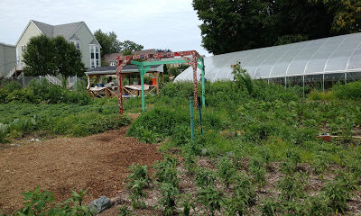 REC's YouthGROW Oread Street Farm