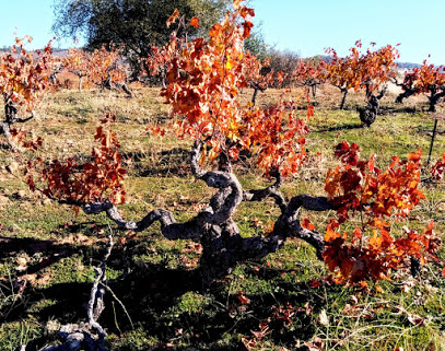 Deaver Vineyards