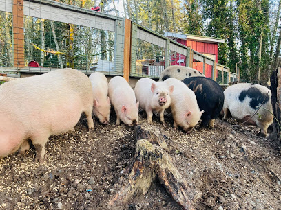Chico Creek Farms