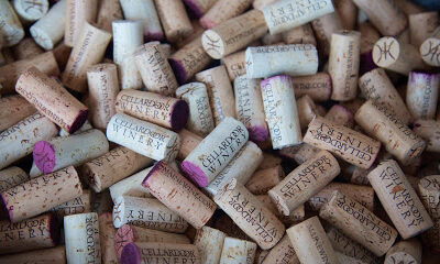 Cellardoor Winery