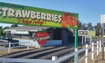 Smith's Farms