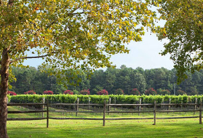 Williamsburg Winery, Ltd.