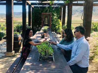 Discovery Baja Winery Tours