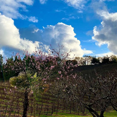 Iron Horse Vineyards
