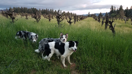 Bartolomei Brothers Vineyard