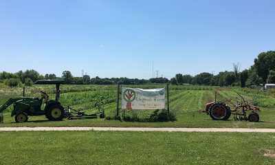 Four Sisters Organic Farm