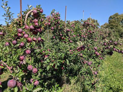 Apple Hills