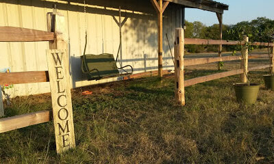 Squeezepenny Sustainable Farm