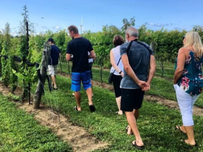 Hounds of Erie Winery