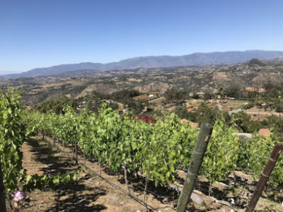 Blue-Merle Winery