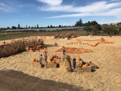 Santa Clara USD Farm